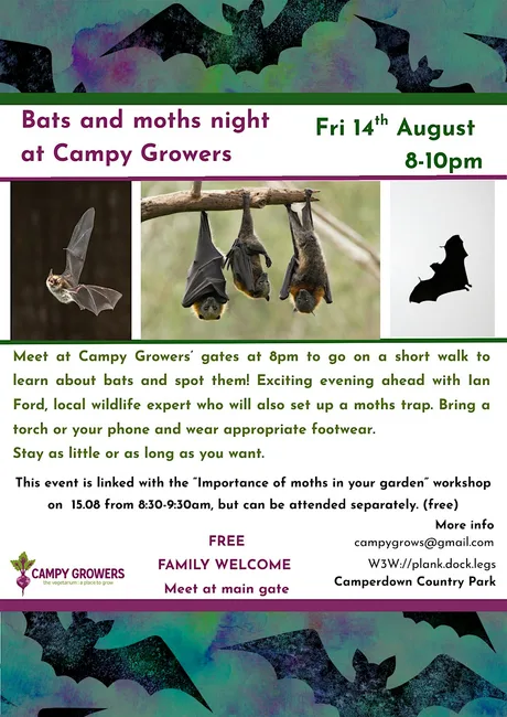 Bats and moths night at Campy Growers