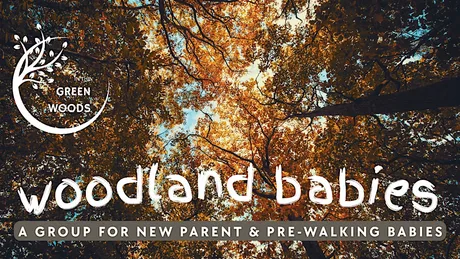 Autumn Woodland Babies