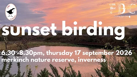 Sunset Birding