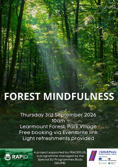 Forest Mindfulness