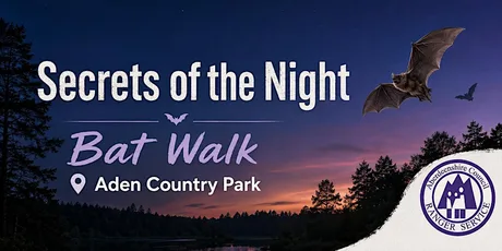 Secrets of The Night: Bat Walk at Aden Country Park