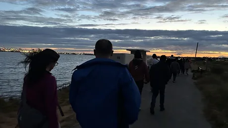 Full Moon Singles Walk - the Bull Island - 40s to mid 50s