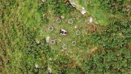 Art Matters: Films, poetry and more from the LUNZ programme
