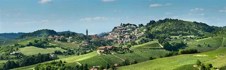 Nebbiolo & Truffles: From Langhe to Barolo | A Piedmont Wine Experience