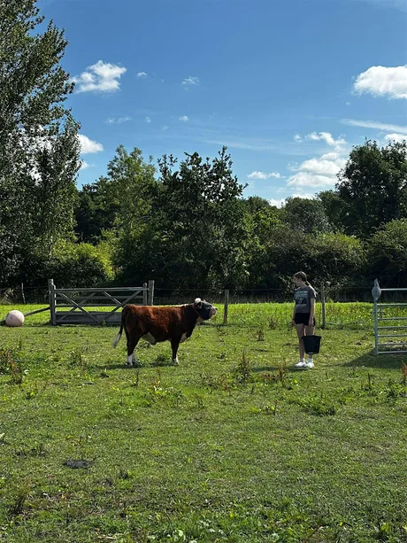 Teen Farmstead Summer Club