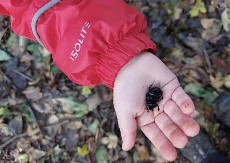 Nature Tots Buggy Walk