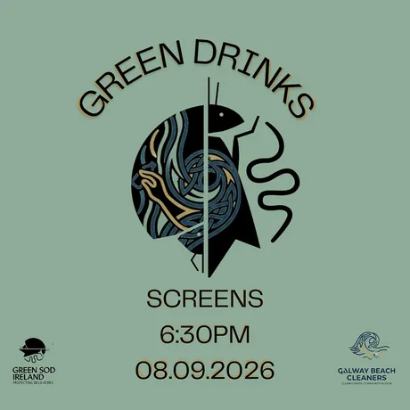 Galway City Green Drinks - October 13th 2026