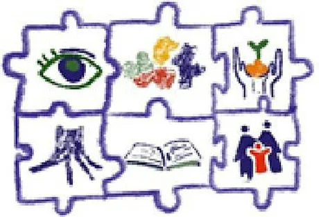 Introduction to Cerebral Vision Impairment (CVI)