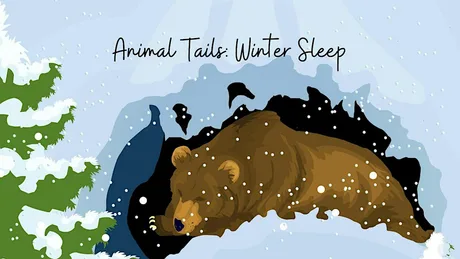 Animal Tails: Winter Sleep