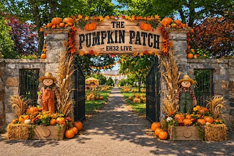 The Pumpkin Patch