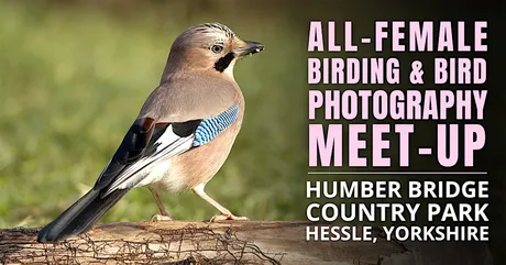 All-Female Bird & Bird Photography Morning