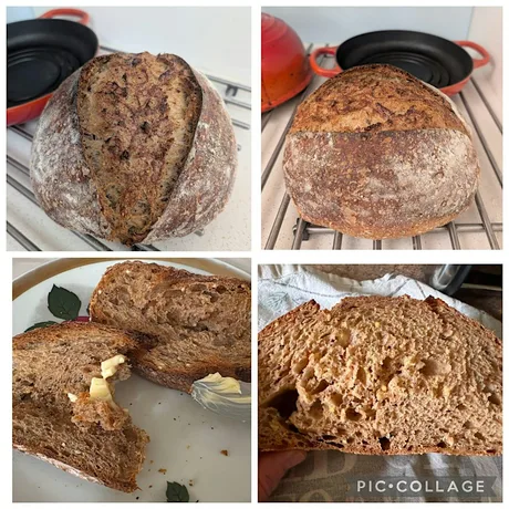 Free - Sourdough Bread Making Class