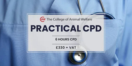 Becoming Your Best Surgical Nurse - Leeds