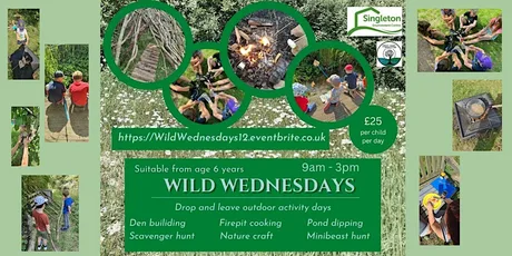 Wild Wednesday