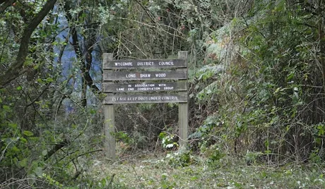 Long Shaw Woodland Day