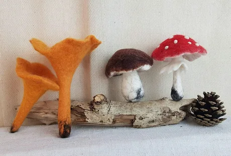 Funky Fungi wetfelting class