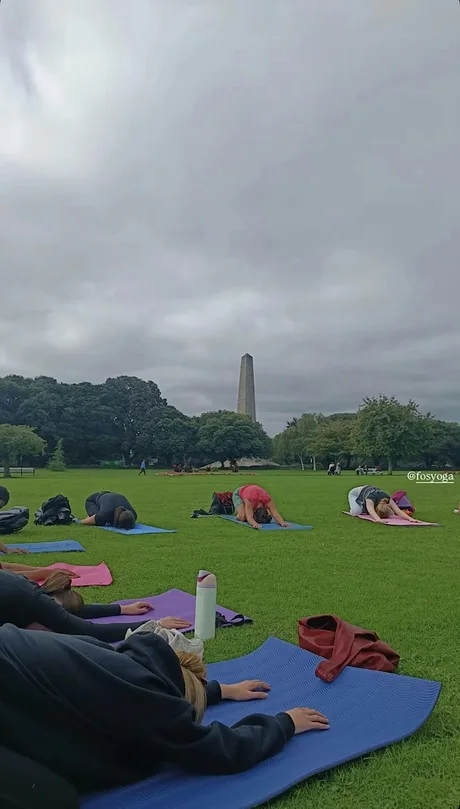 Yoga in the Phoenix Park
