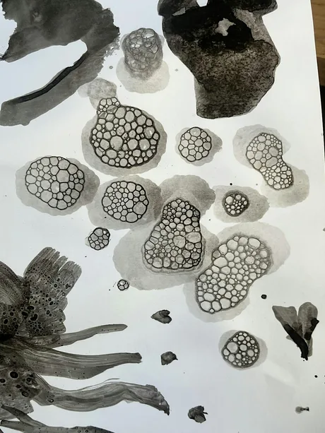 Mindful Print & Collage Workshop