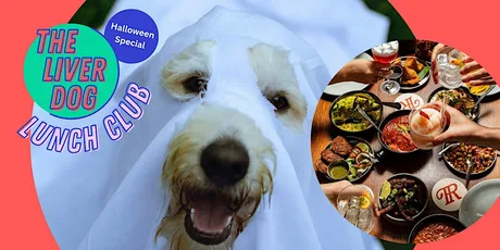 Dog-Friendly Lunch Club with The Liver Dog