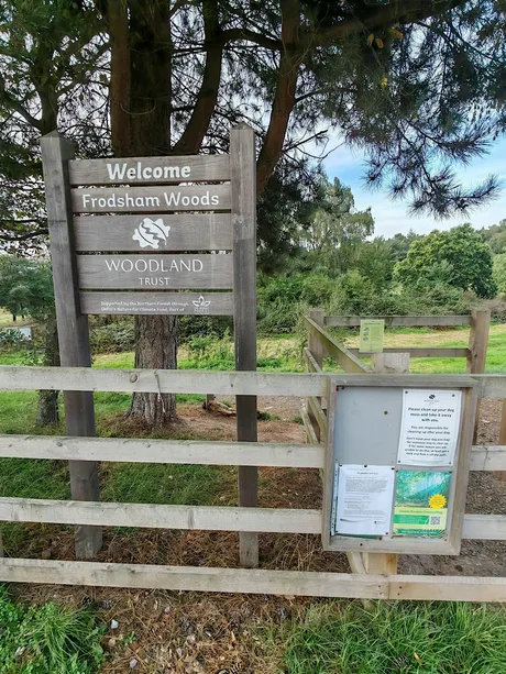 Wild Words: Nature connection and journaling