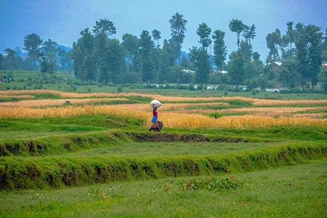 More Than Treatment: Peer Support, Livelihood and Recovery in Rwanda