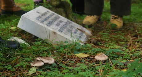 Queer Cemetery Walk: Fungi and Folklore
