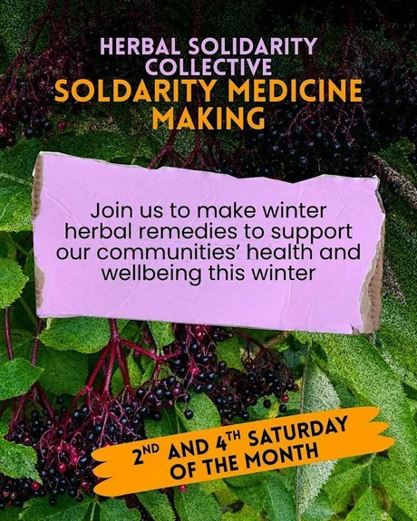 Herbal Solidarity Collective- Winter Herbal Mutual Air Medicine Making