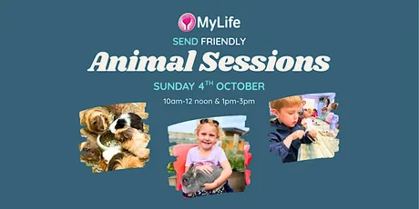 SEND Friendly Animal Sessions