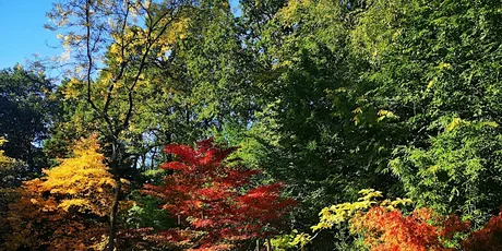 Guided Walk (Supporter's Only): Queenswood, South Wood and Burghope Quarry