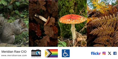 Walking with Cameras around Yarner Wood
