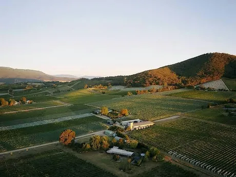 An Evening with Yarra Yering