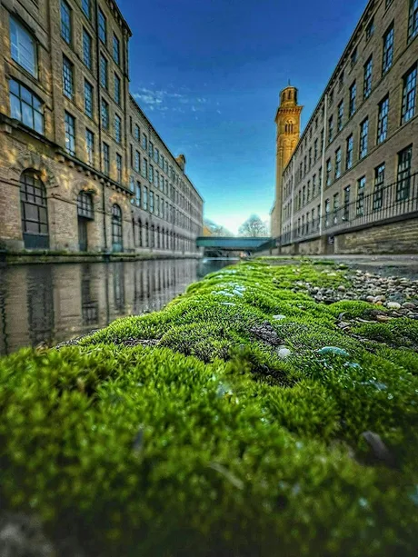 Phone Photography Ramble : Saltaire