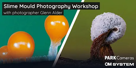 Slime Mould Photography Workshop