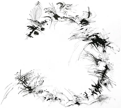 Adult Workshop: Sensing the Plants - Sensory Drawing Session