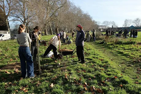Tree Planting in Millfields Park (south)