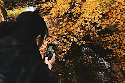 Flow and Focus: Yoga and Mindful Photography Workshop