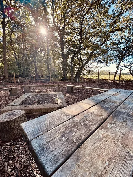 Green Town Forest School - Autumn Magic