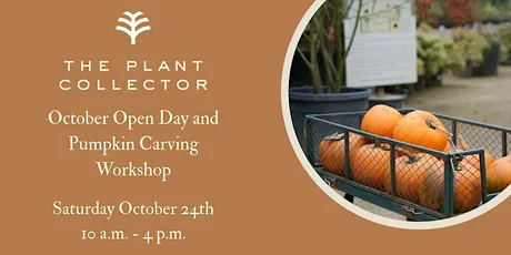 October Open Day and Pumpkin Carving Workshop