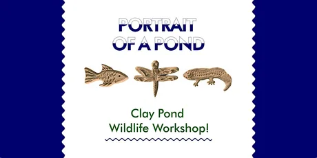 Portrait of a Pond Free Workshop - Clay Pond Wildlife