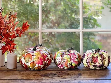 Halloween Special: Decorate a mini pumpkin & toast marshmallows