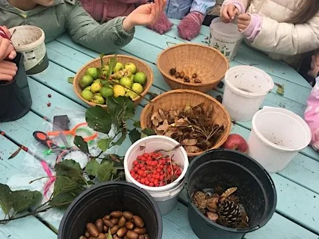 Seed Gathering Day