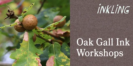 Oak Gall Ink Workshop