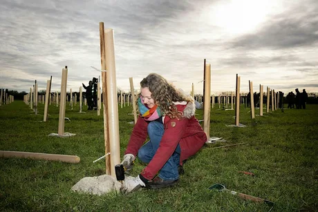 Tree planting at Pucklechurch Wood