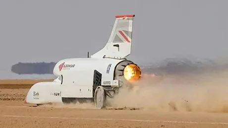 Family Fun with Bloodhound Education