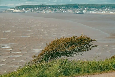 Naming the Winds of the Bristol Channel