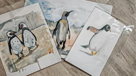 Penguins and Robins in Watercolour with Joanne Whitaker