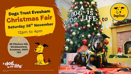 Dogs Trust Evesham Christmas Fair