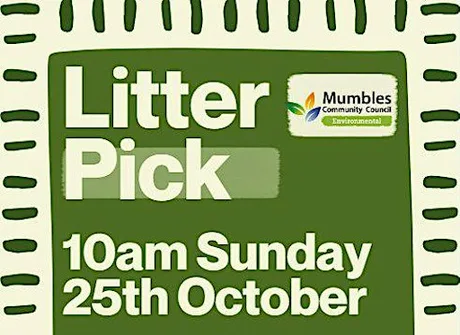 Mumbles Community Litter Pick