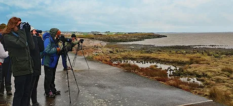 Sea Watch Survey