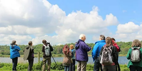 Introduction to Winter Bird Watching at Brockholes
